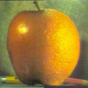 Blended Oraple Image