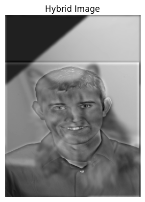 Hybrid Image