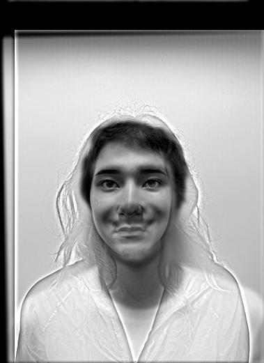 Hybrid Image of Francesco and Vanessa (Grayscale)