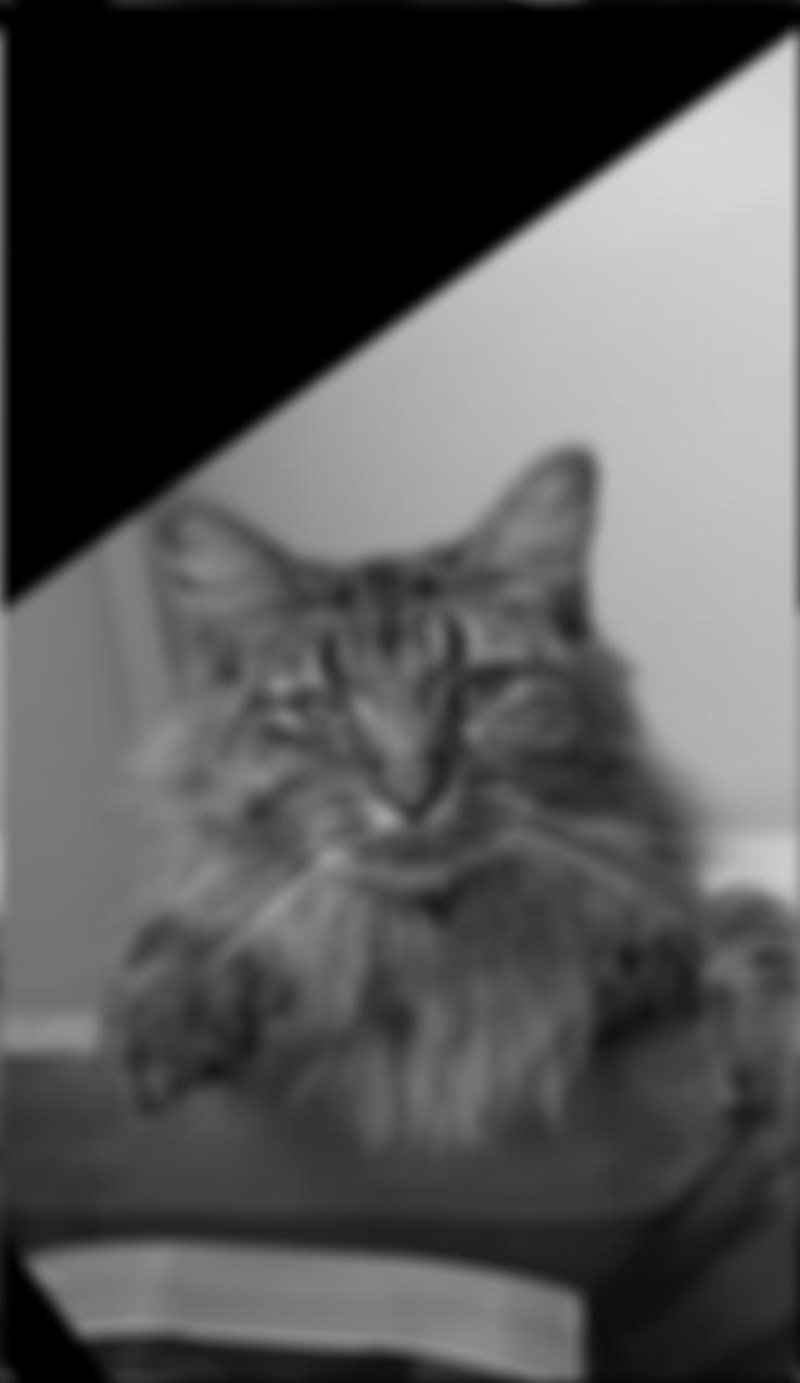 Low-pass Filtered Image
