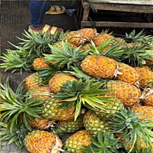 Sharpened Pineapple Image (Level 1)