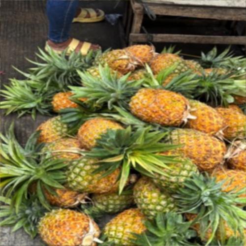 Blurred Pineapple Image